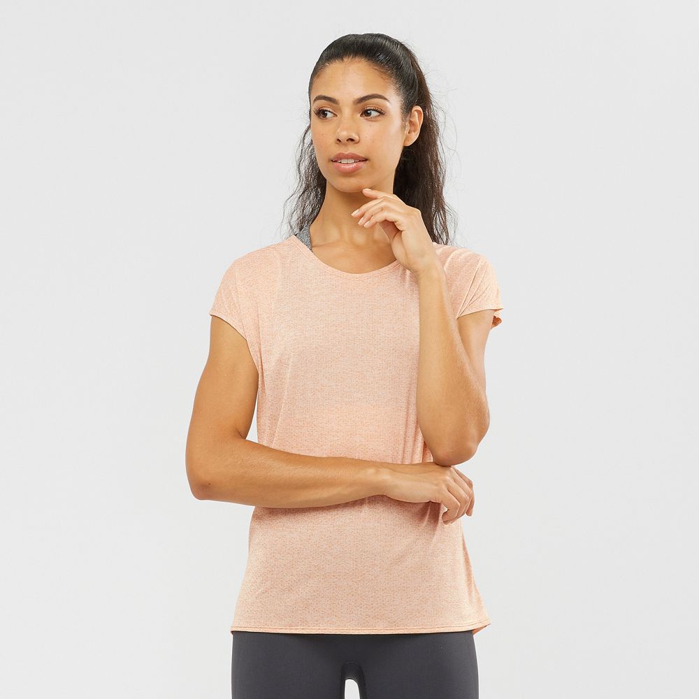 T-Shirts Salomon Femme Beige - Salomon XA SLEEVE TECH W - France (0168-IALDC)